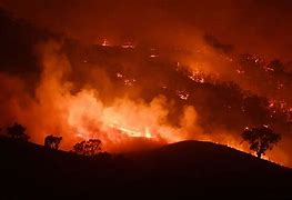 Image result for Wildfire in Australia