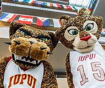 Image result for Official Indiana University Mascot
