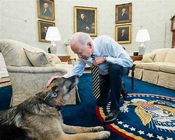 Image result for Joe Biden President Picture