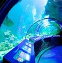 Image result for Sea Life Aquarium Tempe AZ