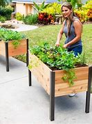 Image result for Indoor Plant Grow Box