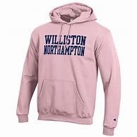 Image result for Champion Hoodie Grey Hood Navy