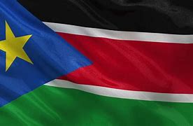 Image result for United Sudan Flag