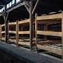 Image result for Auschwitz Concentration Camp Cells