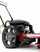 Image result for Gas Weed Eater Push Mower