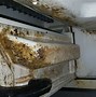Image result for Mold in Ice Machine Restaurant