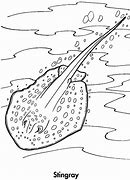 Image result for Stingray Coloring Page