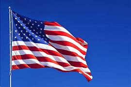 Image result for American Flag Horizontal