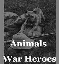 Image result for Animal War Heroes