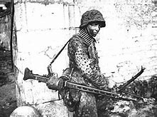 Image result for Hitler Youth SS Panzer Division