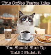 Image result for Cat and Coffee Meme