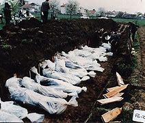 Image result for Bosnian War Republic of Serbian Army