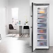 Image result for Small Stand Up Freezer