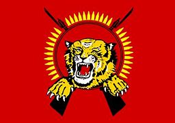 Image result for Sri Lanka Tamil Flag