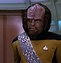 Image result for Star Trek Captain Worf