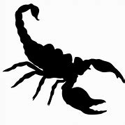 Image result for Simple Scorpion Silhouette