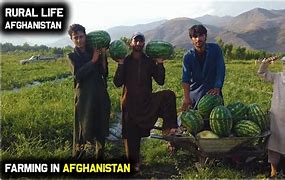 Image result for Rural Afghanistan