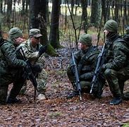 Image result for Lithuania Military