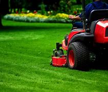 Image result for Lawn Mower Car