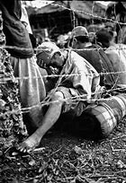Image result for WWII Prisoners of War Japan