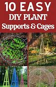 Image result for Different Plant Supports