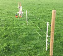 Image result for Sheep Fencing