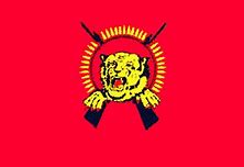 Image result for Tamil Tigers Flag
