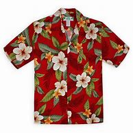 Image result for Men's Hawaiian Shirts