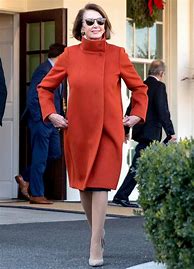 Image result for Pelosi Dress