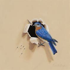 Eastern Bluebird, A Backyard Bird Oil Painting by Camille … | Flickr