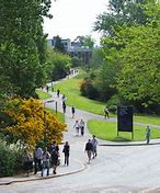 Image result for Exeter University Campus