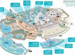Image result for Shedd Aquarium Map
