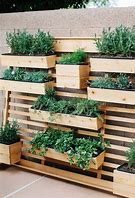 Image result for Garden Wall Planters