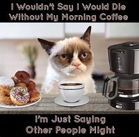 Image result for Coffee Break Cat Meme