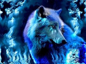 Image result for Mystic Fire Wolf