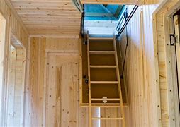 Image result for Attic Mold Remediation