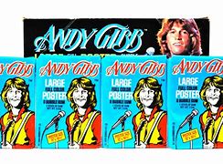 Image result for Andy Gibb Rip