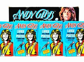 Image result for Andy Gibb Bee Gees