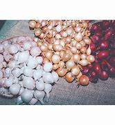 Image result for Red Onion Set - Set Of Approx. 80 Onions