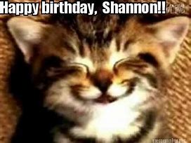 Image result for Happy Birthday Shannon Meme