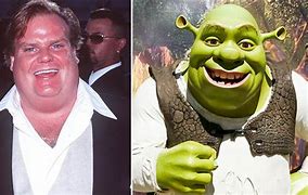 Image result for Shrek Chris Farley