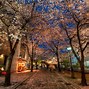 Image result for Kyoto Japan Scenery