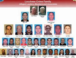 Image result for Lucchese Family
