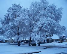 Image result for Amana Free O'Frost