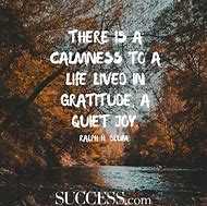 Image result for Gratitude Quotes On Being