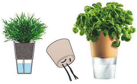 Преимущества автополива для комнатных растений