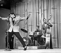 Image result for Elvis Concert 1950s