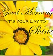Image result for Good Morning Sunny Day