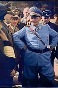 Image result for Hermann Goering Division Tiger One Color