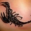 Image result for Small Scorpion Hand Tattoo